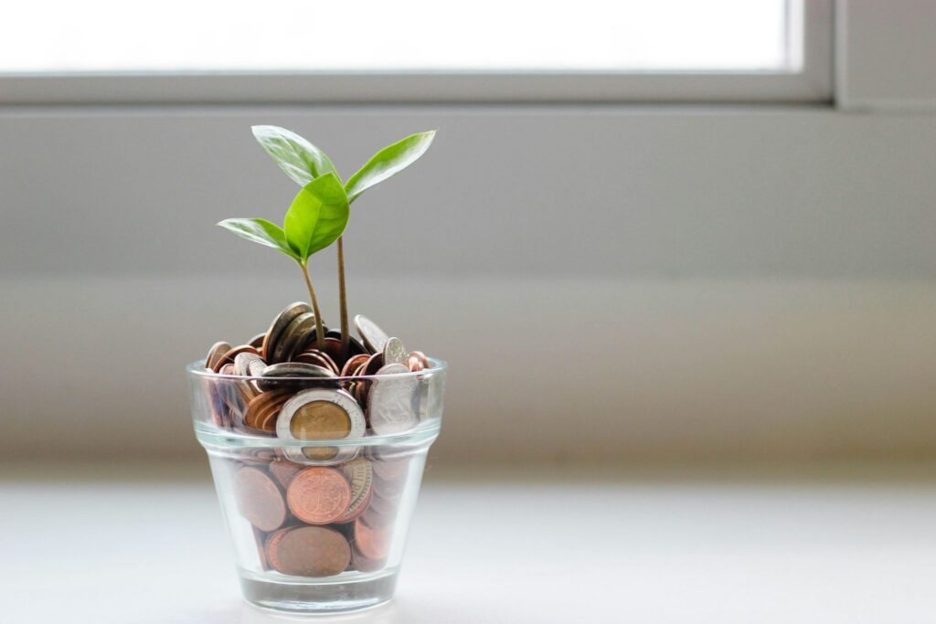 Pequeno broto de planta verde crescendo de dentro de um copo de vidro cheio de moedas sobre um fundo claro, ilustrando o acúmulo e crescimento de pontos ao escolher o melhor programa de milhas.